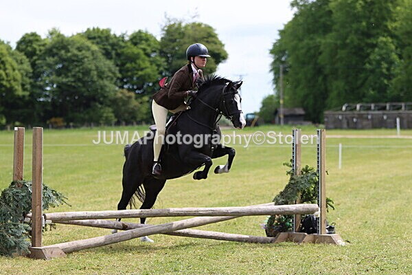 IMG_3184 - Working Hunter