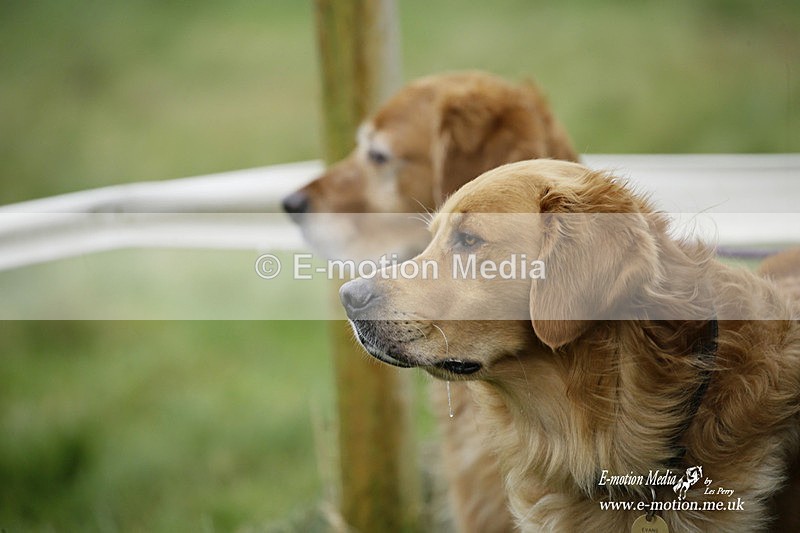PtP 020122 268 - Larkhill Racing Club Point-to-Point 02/01/2022