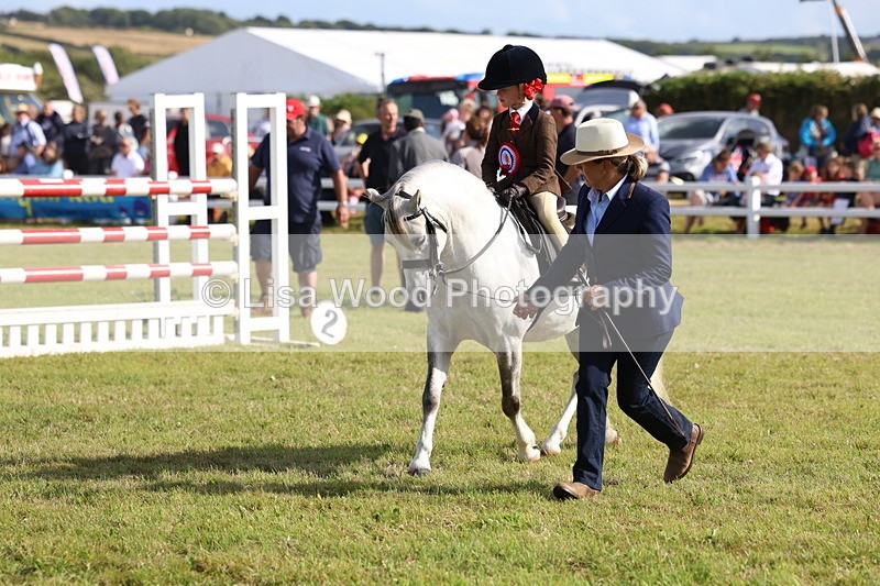 3E7A3924 - Supreme Championship