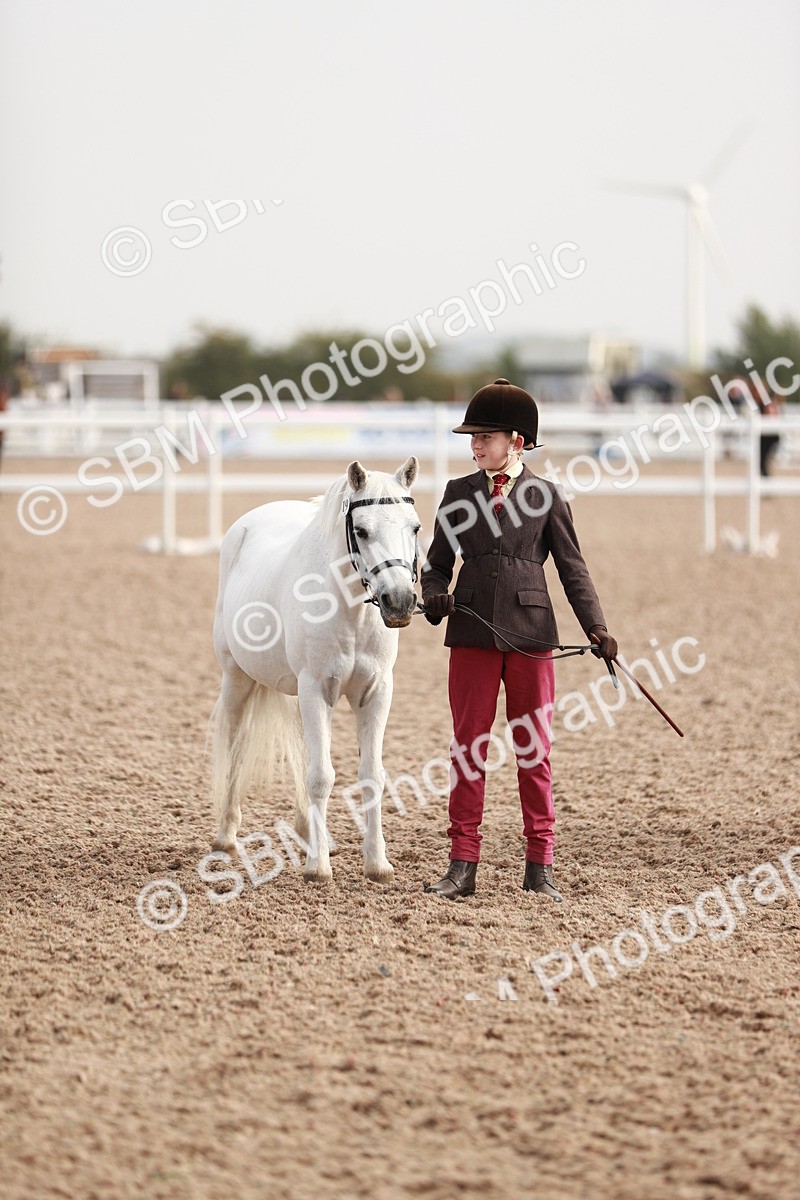 SBM_10536 - Class 204 Young Handler, 11-16 years