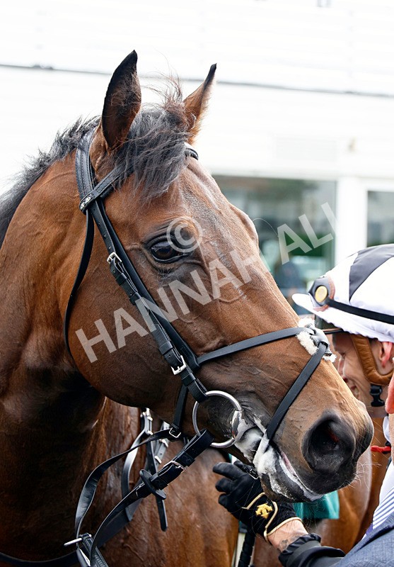 240525-Race 4-Reservardo-8 - Race 4