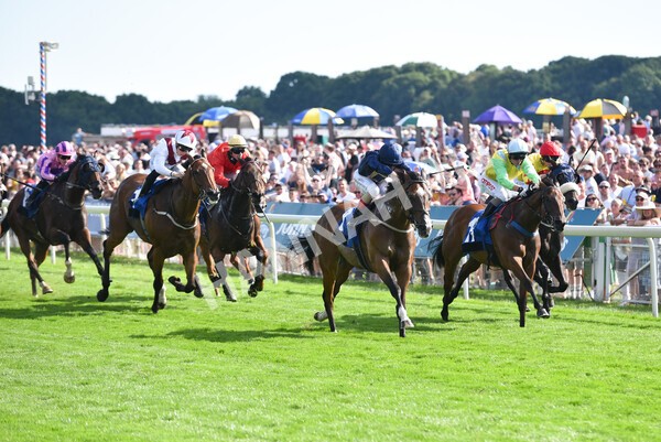 yr09072022r7-25 - Race 7 5.15pm John Smith's Sprint Stakes
