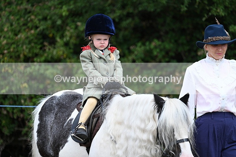 WJ7_6748 - Class 1 Lead Rein Pony