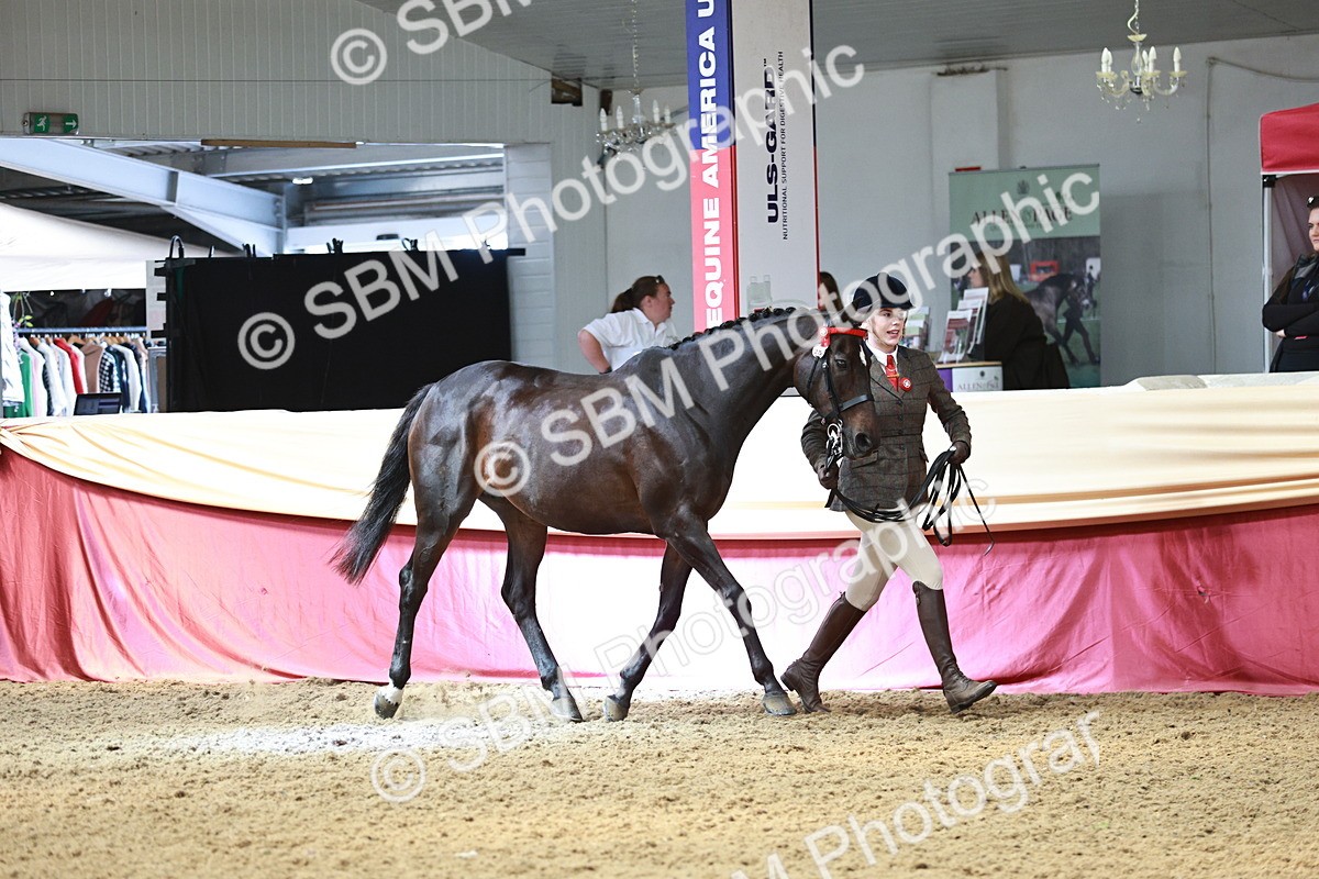 SBM_04729 - Class 7R - Regional IH Diamond