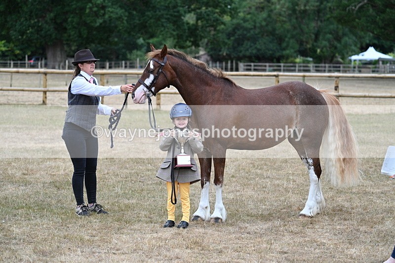 WJ7_9368 - Prettiest Mare Champs
