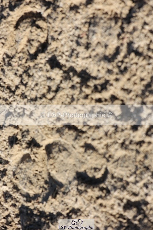 241027-130449-17519 - Presentations - BE90 3DE