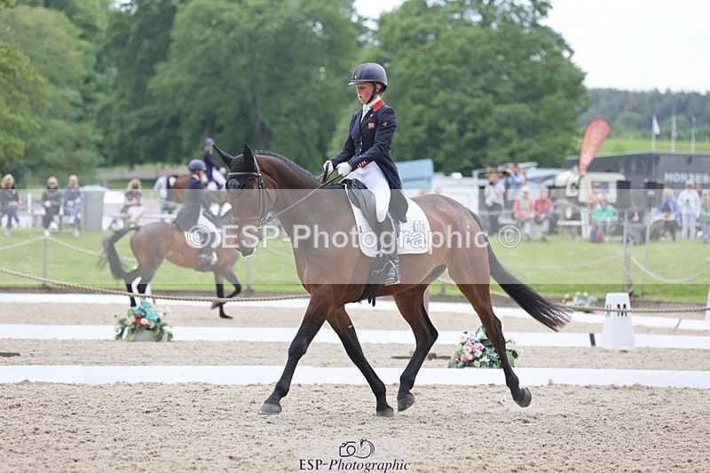 240524-120333-08506 - 274-JACK_OF_CLUBS-Rosalind_Canter