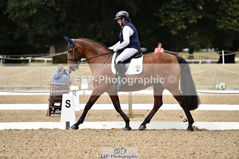 140110A-003850-10684 - 137-Debbie.Dyke-The.Trojan