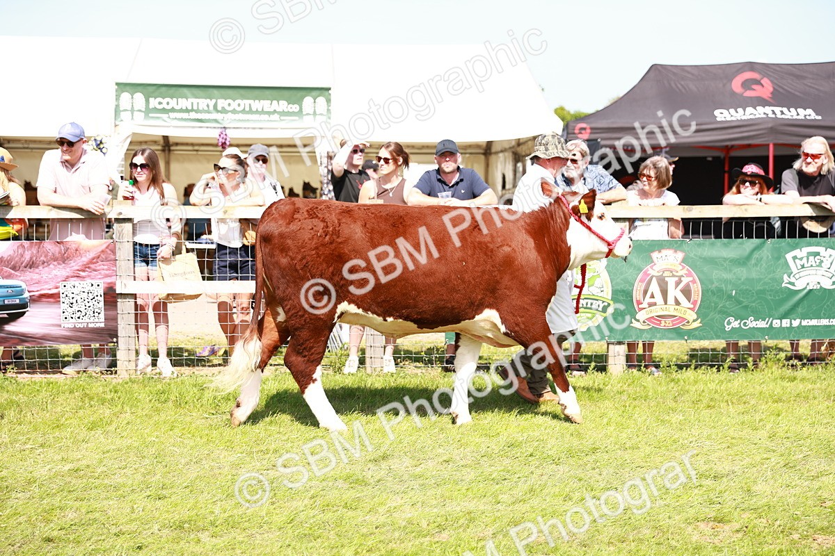 SBM_08378 - Grand Parade