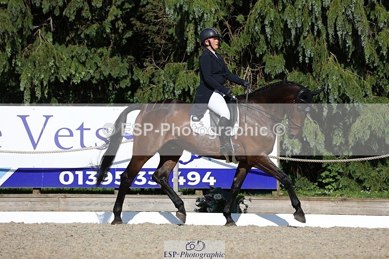 230526-172354-07967 - 178-RIDIRE_DORCHA-Lucy_Stimson-WEDTrotUp+DR