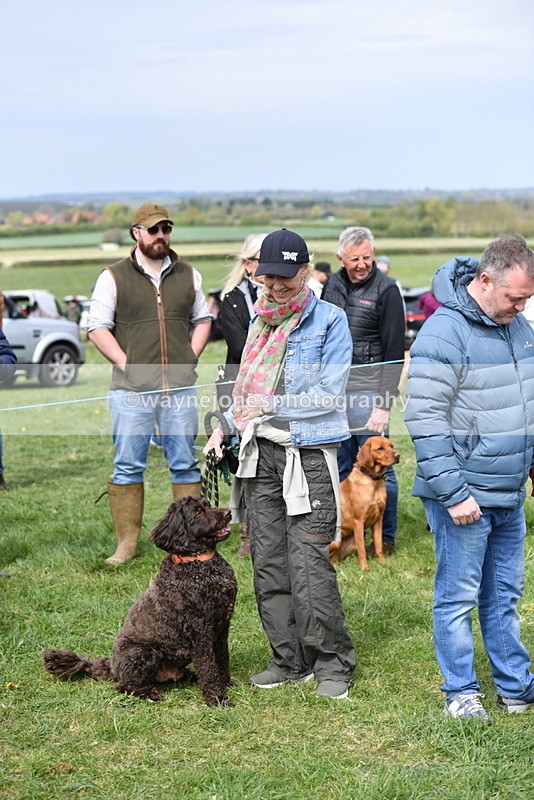 WJ5_9725 - Class 3 Most Handsome Dog