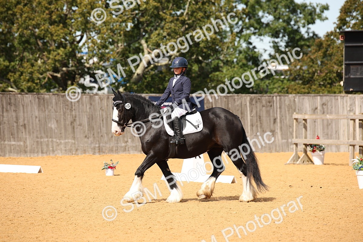 SBM_21732 - D5 - Small Tour Championship - Intro C