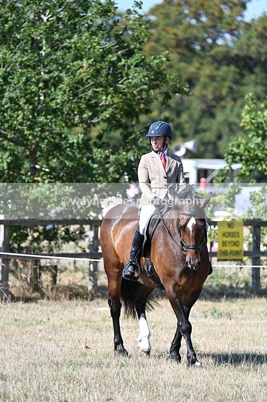 WJ7_3567 - Class 9 Mountain & Moorland Ridden