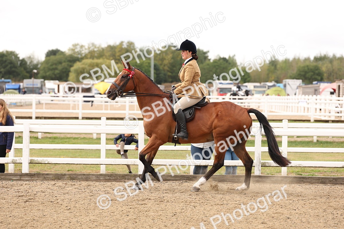 SBM_02855 - Class 53 - Ridden Competition Horse/Pony
