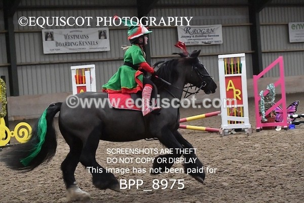 BPP_8975 - CLASS 1 Beginners Show Jumping