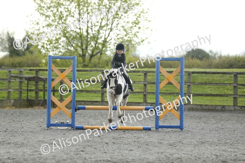 20260412-1955 - Show Jumping