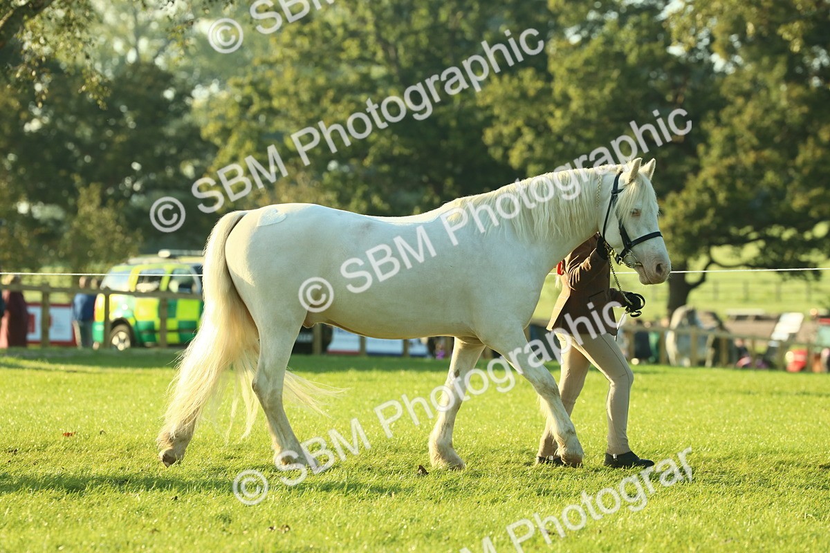 SBM_57298 - S37 - Starters In Hand Showing