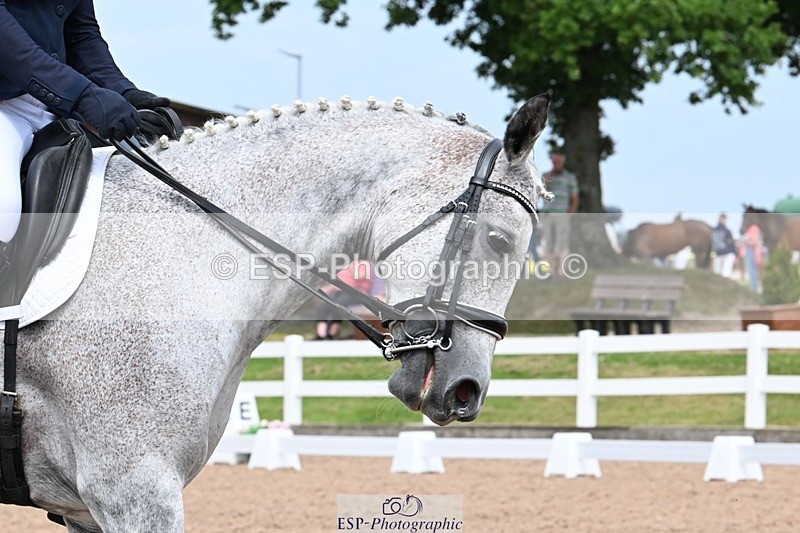 250621-143053-11497 - Cls 30 - Elementary 6