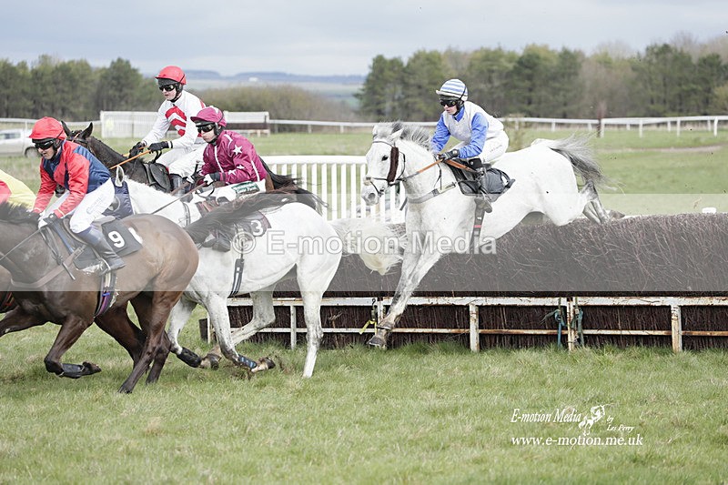 PtP 260323 0389 - New Forest Hounds Point-to-Point Larkhill 26/03/23