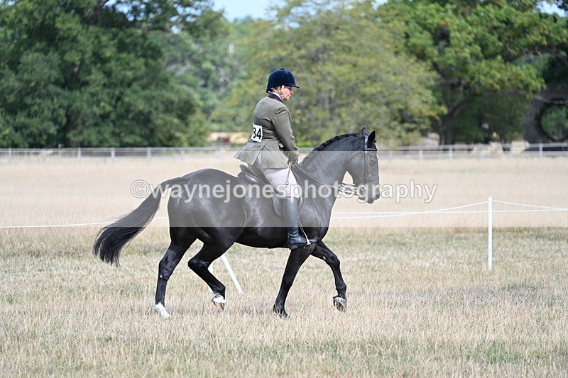 WJ7_6116 - Class 13 Ridden Veterans