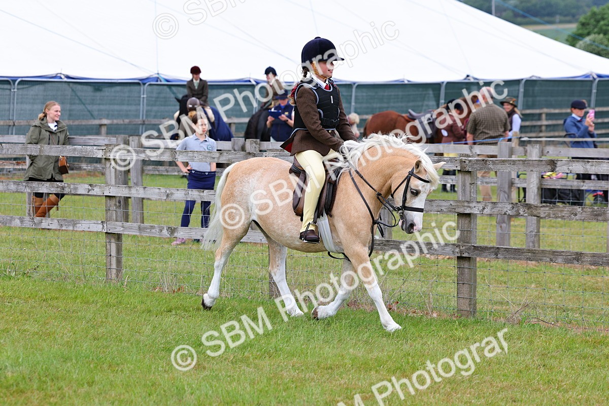 SBM_08483 - Class 42-43 - LIHS BSPS Heritage Working Sports Pony