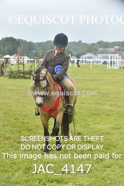 JAC_4147 - 40CM WORKING HUNTER