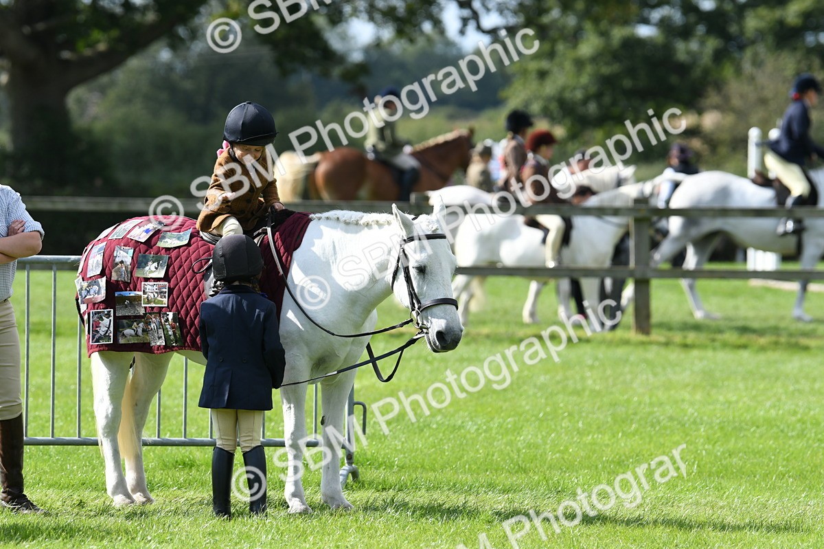 SBM_47043 - S12 - Family Horse & Pony