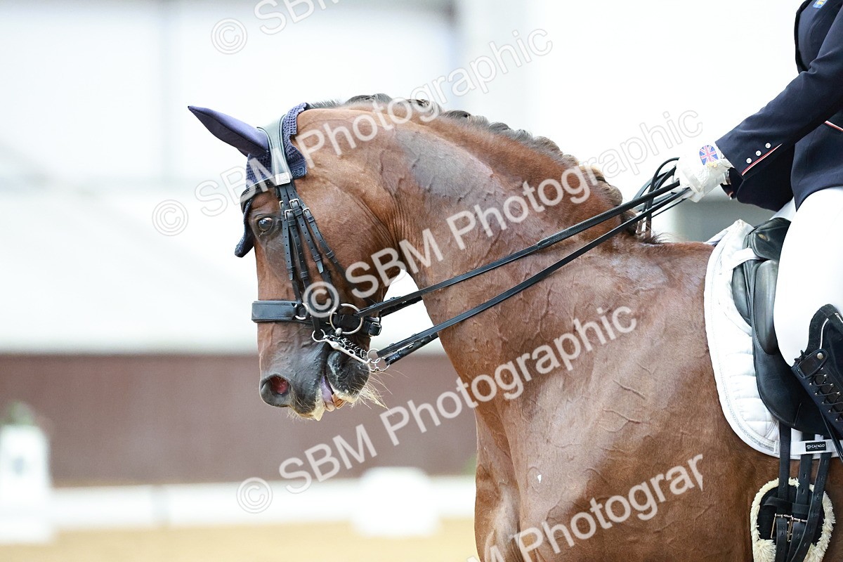 SBM_017909 - Class 15 - FEI Junior