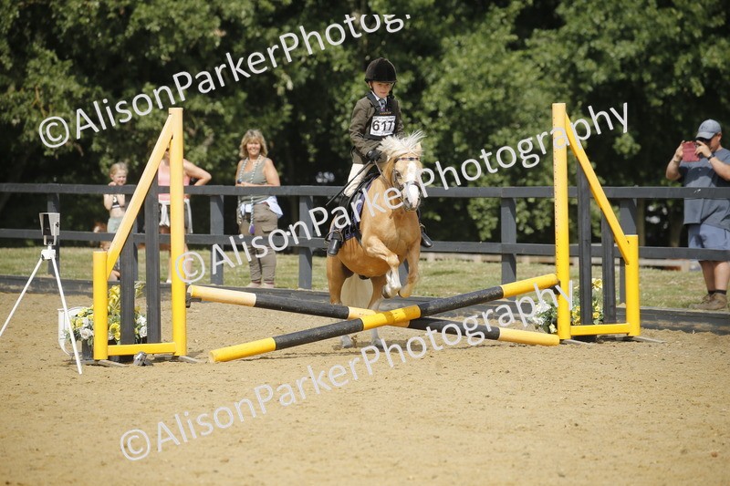 20250622-3788 - 50cm