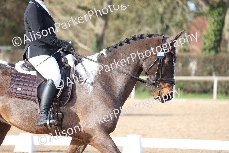 20260214-0691 - Class 6 - Elementary 1