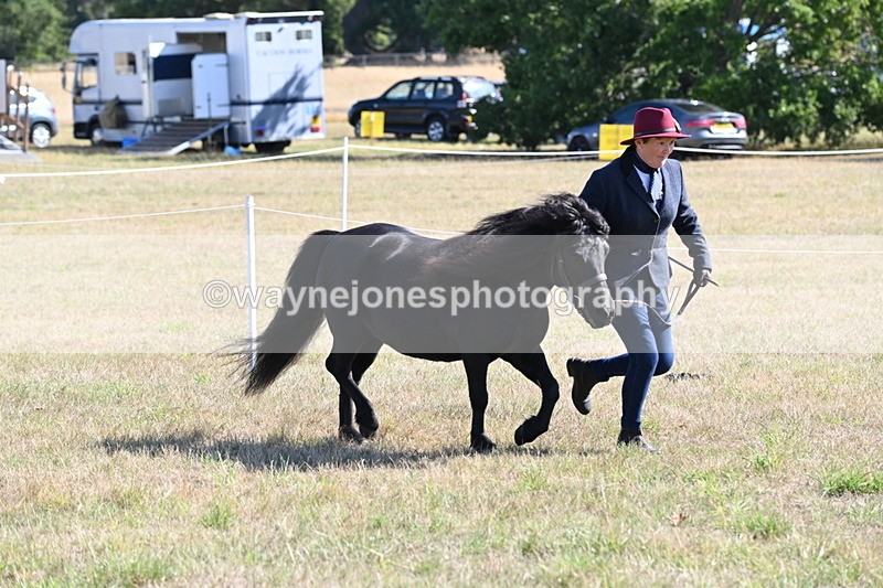 WJ6_4241 - Class 16 Condition & Turn Out