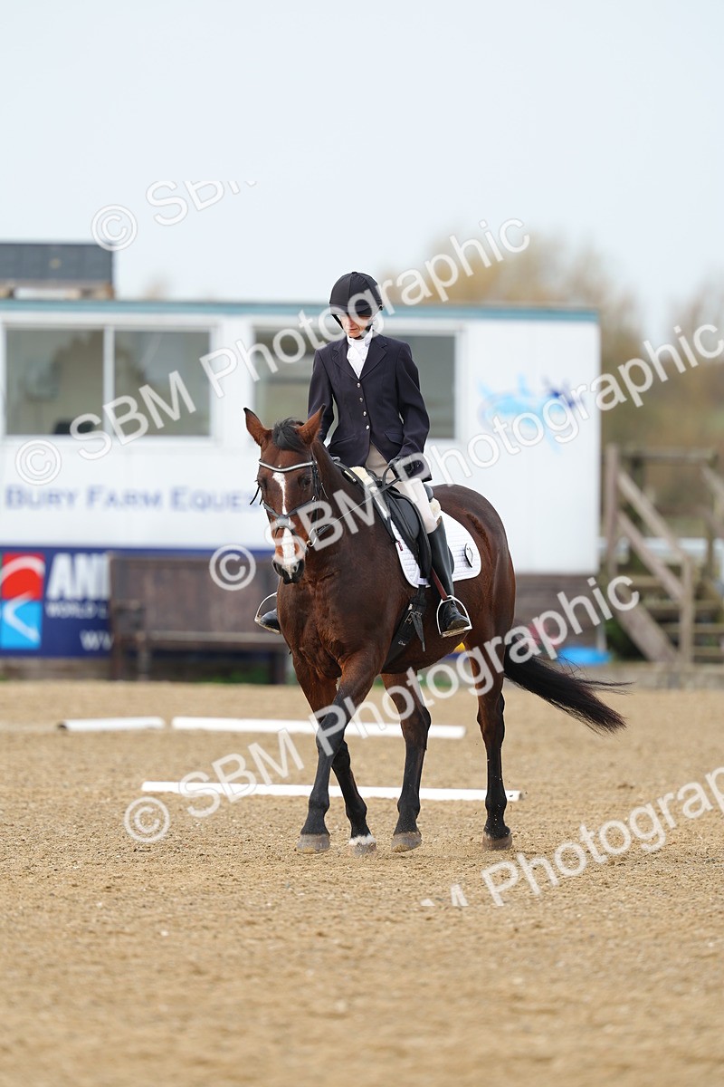 SBM_003513 - Class 6 - Novice 2