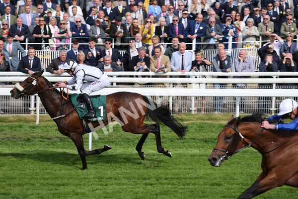 yr13052022r5-22 - Race 5 4.10pm Paddy Power 'Fill Thi Boots' Stakes
