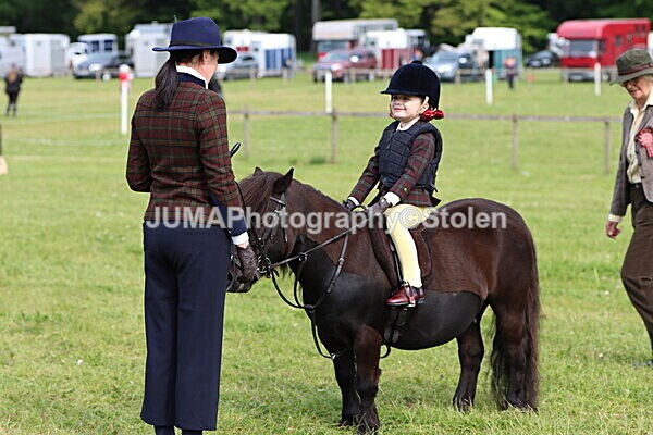 IMG_2240 - Working Hunter