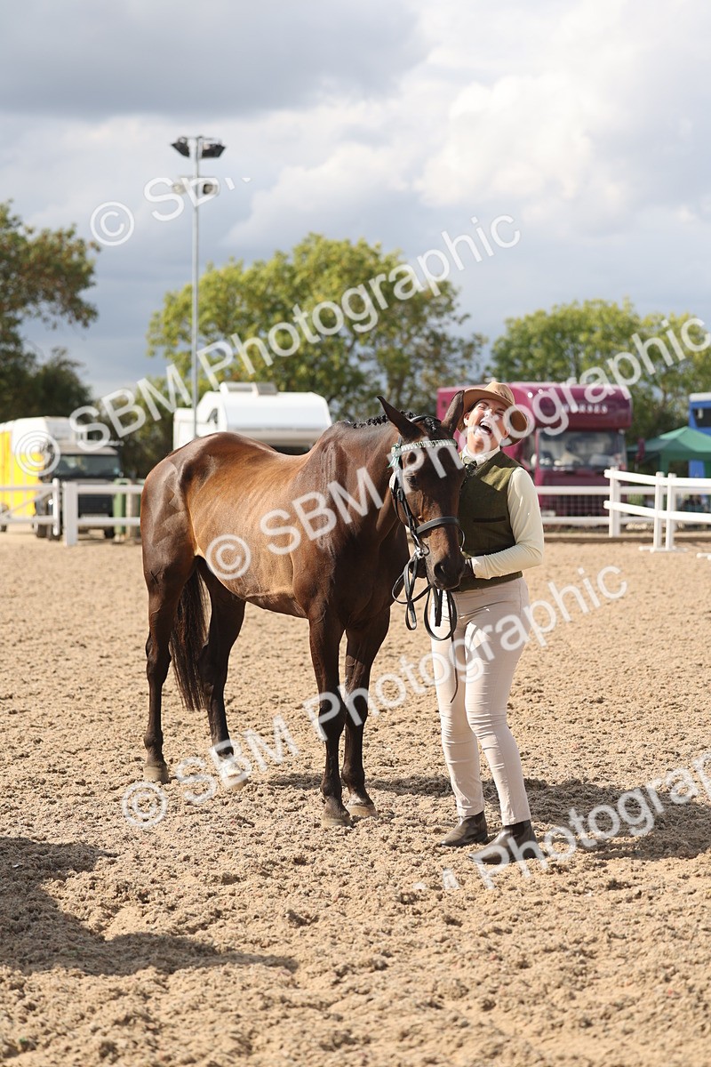 SBM_06877 - Class 25 - IH Foreign Breeds - Purebred