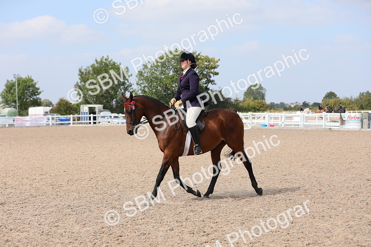 SBM_15604 - Class 311 Ridden Show Pony/ Show Hunter Pony