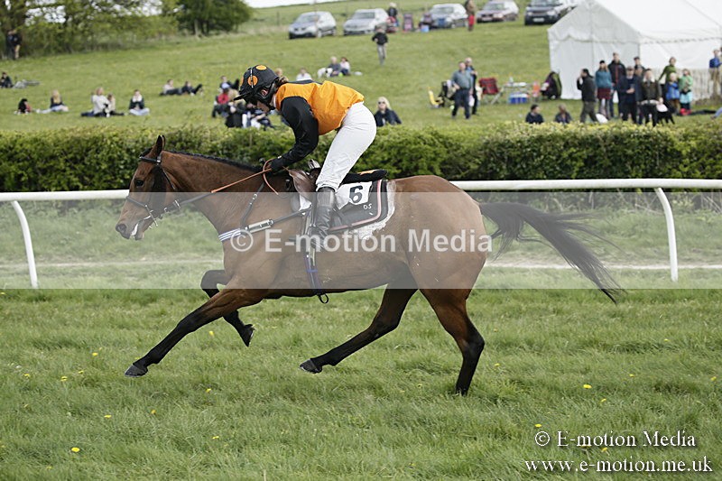PtP 170417 387 - Old Berks Point-to-Point Lockinge 17/04/17