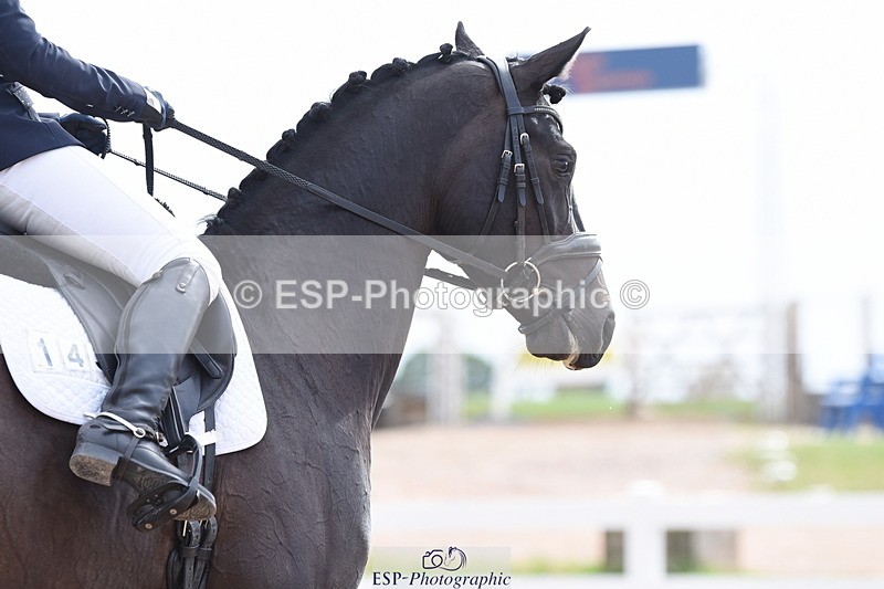 230702A-090726-07733 - Cls 22 Prelim 15