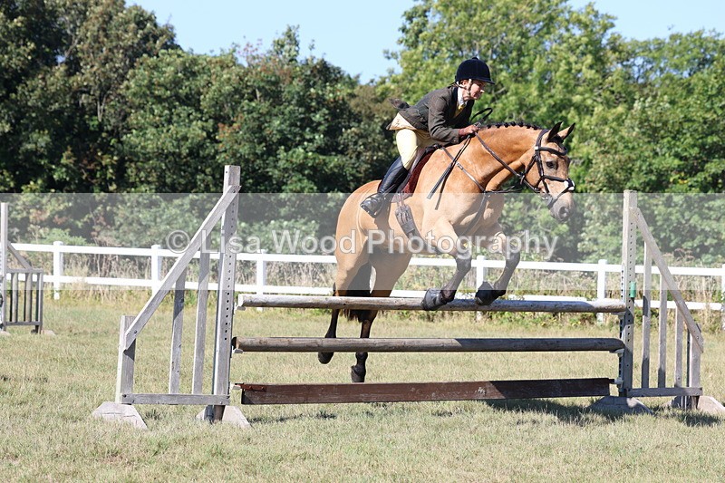 3E7A5816 - Class 5: Working Hunter 90cm