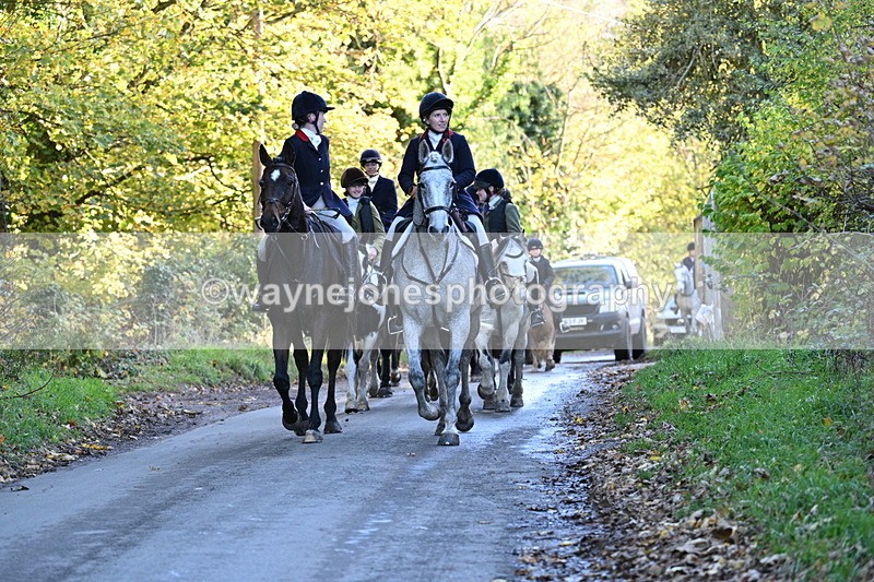 WJ7_8712 - Walk Home