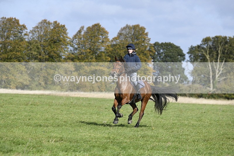 _DSC5775 - Time 10:49 to 11:23