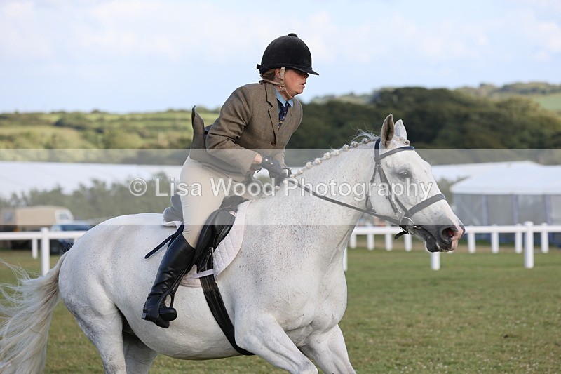 JPP_3390 - Class 22: Working Hunter 90cm