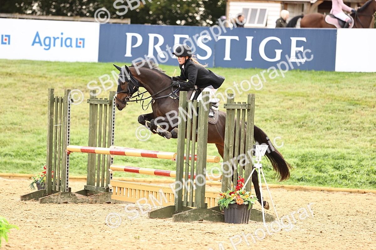 SBM_58447 - J41 - Grand Tour Horse & Pony 95cm
