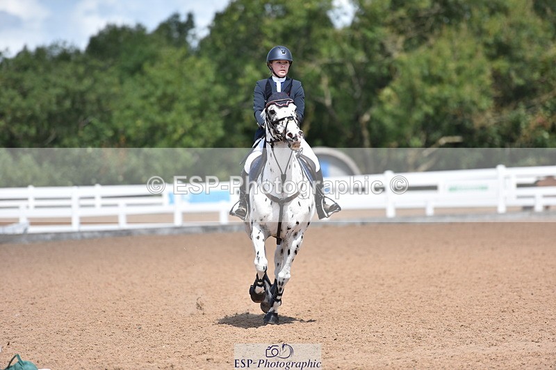 230806A-121304-01733 - Cls 19 Pony British Novice & 80cm Open