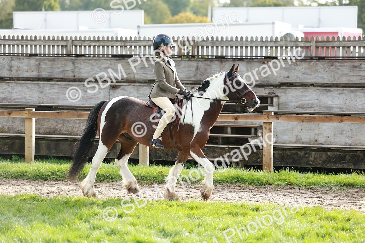 SBM_56379 - S39 - Starters In Hand Showing