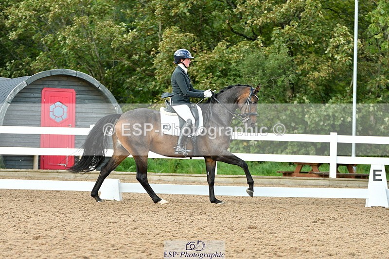 230912A-154933-01654 - Cls 13 Adv Medium 91