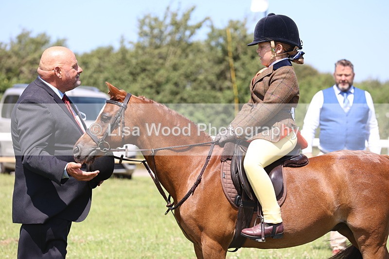 JPP_2240 - Class 20: Tiny Tots Working Hunter Pony