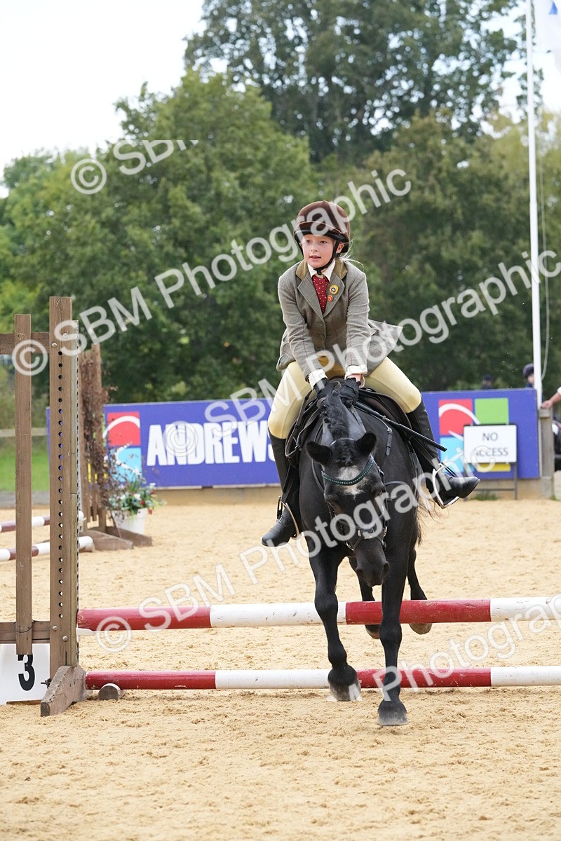 SBM_74549 - J4 - Mini Tour Junior Pony 45cm Championship