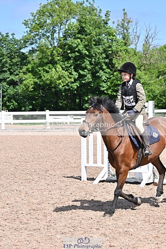 250517-114618-00980 - 40cm