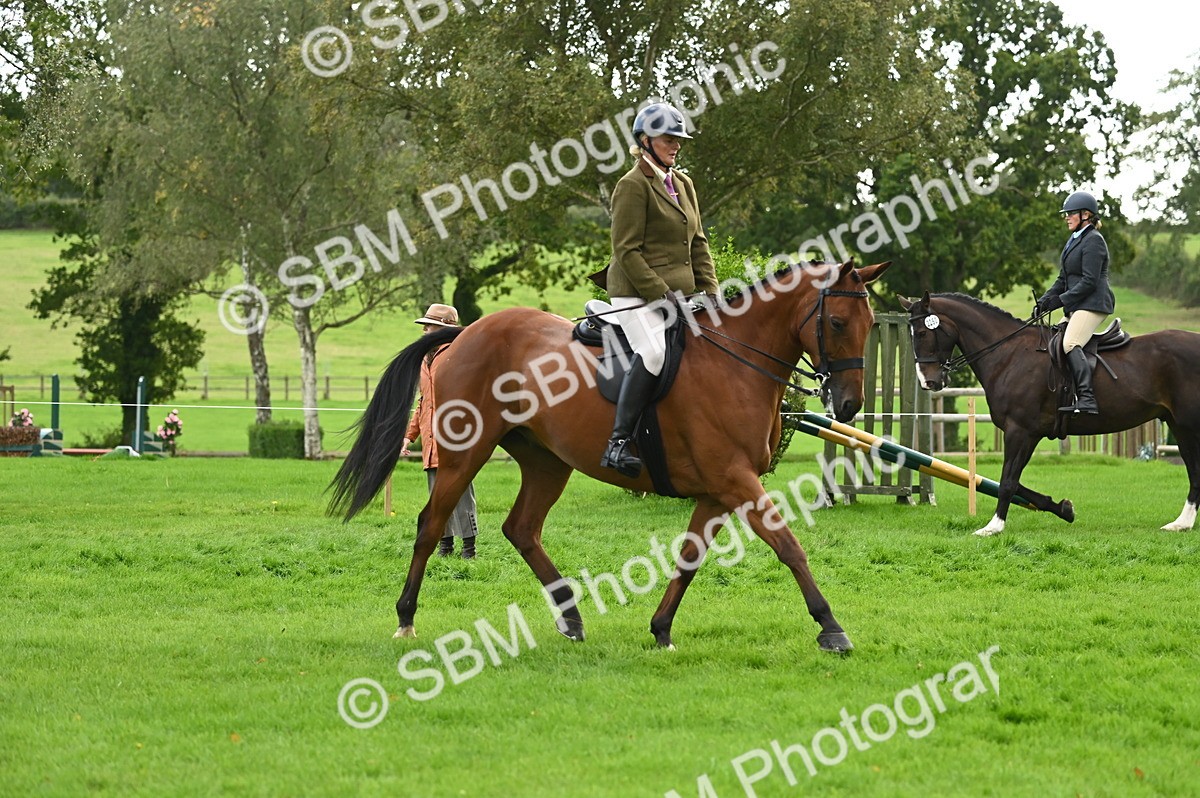 SBM_26359 - S6 - Novice & newcomer Ridden horse